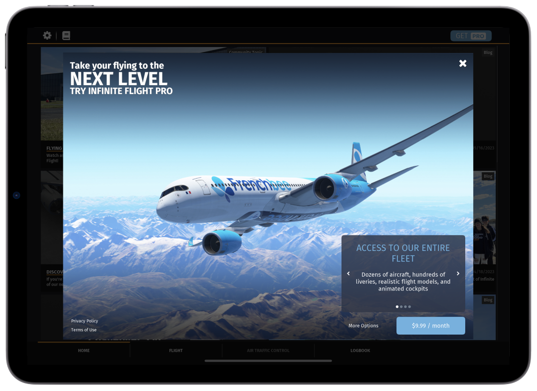 Infinite Flight Simulator Mobile - Download & Play for Android APK & iOS