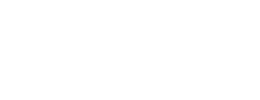 NavBlue (An Airbus Company)